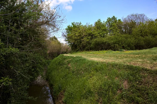 Sentier Herbeux Dans Bosquet Côté Ruisseau Dans Campagne Italienne — Photo