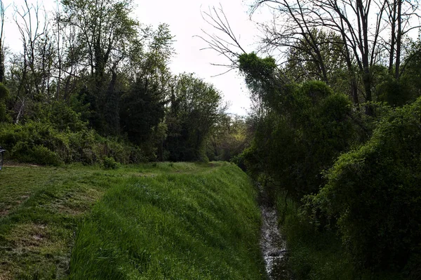 Caminho Gramado Bosque Próximo Córrego Água Paisagem Italiana — Fotografia de Stock