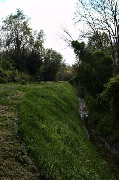 Graspad Een Bosje Naast Een Waterstroom Het Italiaanse Platteland — Stockfoto