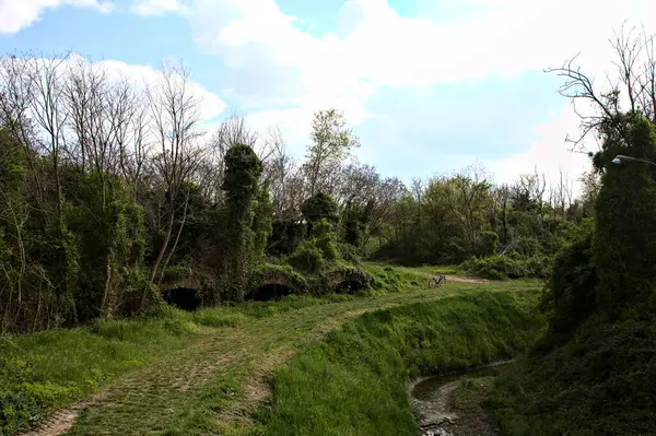 Pad Een Bos Begrensd Door Een Waterstroom Resten Van Een — Stockfoto