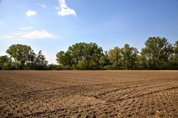 Ploughed Field Italian Countryside Clear Day Spring — Stock Photo, Image