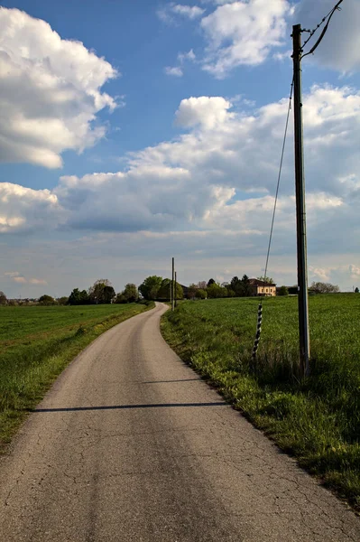 Landsväg Med Elstolpe Trä Bredvid Åkrar Den Italienska Landsbygden Våren — Stockfoto
