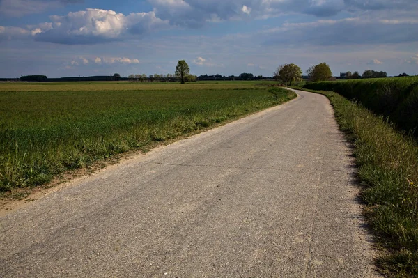 Grusvägen Gränsar Till Fältet Klar Dag Våren Den Italienska Landsbygden — Stockfoto