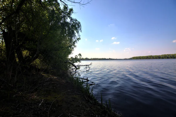 Gölgedeki bir nehrin kıyısında İlkbaharda İtalya kırsalındaki ağaçlar tarafından çerçevelenmiş