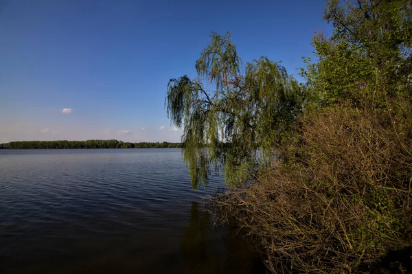 Gölgedeki bir nehrin kıyısında İlkbaharda İtalya kırsalındaki ağaçlar tarafından çerçevelenmiş