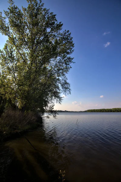 Rivage Une Rivière Ombre Encadrée Arbres Dans Campagne Italienne Printemps — Photo