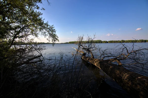 Upadłe Drzewo Nad Brzegiem Rzeki Włoskiej Wsi — Zdjęcie stockowe