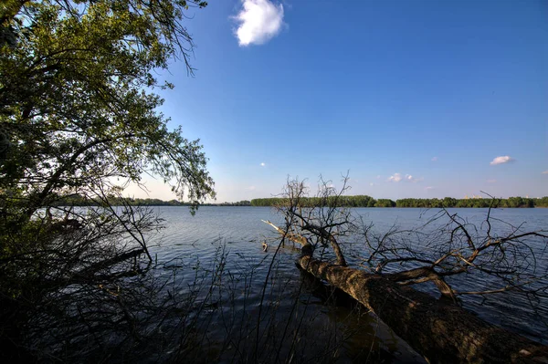 Arbre Tombé Bord Une Rivière Dans Campagne Italienne — Photo