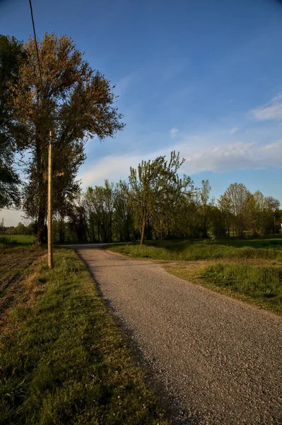 Straße Auf Dem Land Neben Gepflügten Feldern Bei Sonnenuntergang — Stockfoto