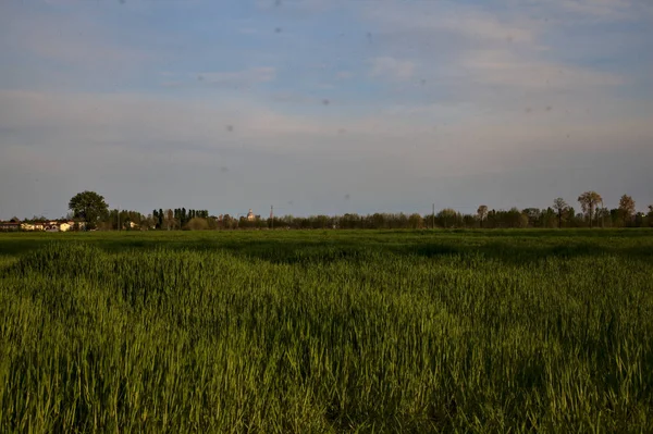 Lapangan Saat Matahari Terbenam Pedesaan Italia — Stok Foto