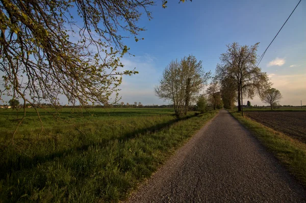 Vägen Landsbygden Bredvid Plogade Fält Vid Solnedgången — Stockfoto