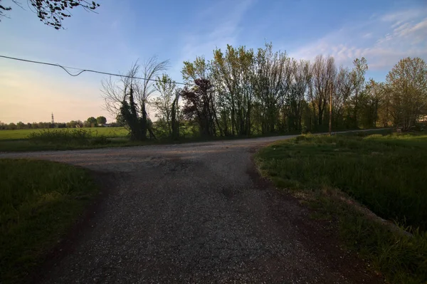 Route Campagne Côté Des Champs Labourés Coucher Soleil — Photo