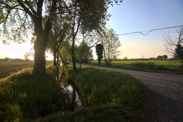 Road Countryside Sunset Bordered Stream Water — Stock Photo, Image