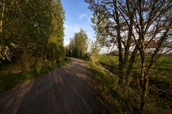 Route Campagne Coucher Soleil Bordé Par Ruisseau Eau — Photo