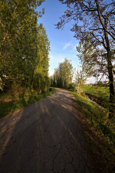 Gün Batımında Kırsalda Bir Deresi Ile Çevrili Bir Yol — Stok fotoğraf