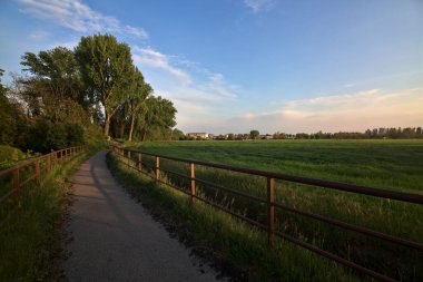 Bisiklet yolu ilkbaharda gün batımında bir tarlayla sınırlıydı.