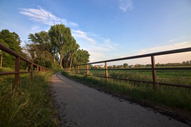 Bisiklet yolu ilkbaharda gün batımında bir tarlayla sınırlıydı.
