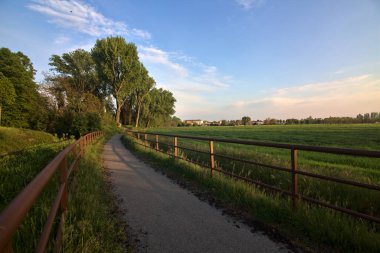 Bisiklet yolu ilkbaharda gün batımında bir tarlayla sınırlıydı.