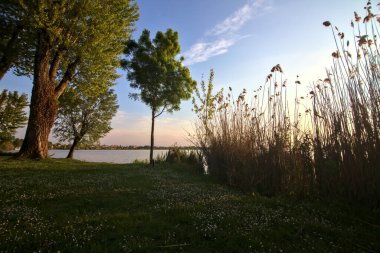 Gün batımında bir gölün kıyısında