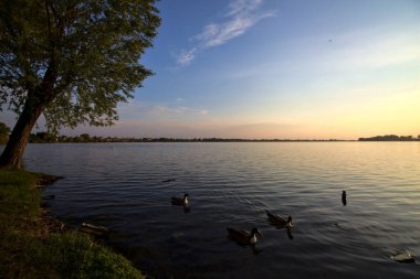 Gün batımında bir gölün kıyısında