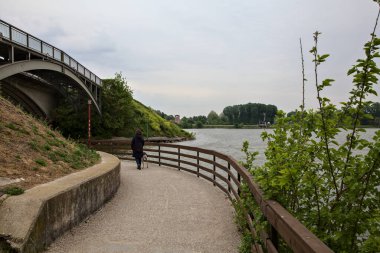 Köpekli bir kadın bulutlu bir günde gölün kıyısında yürüyor.