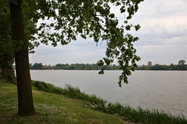 Ağaçların çerçevelediği bulutlu bir günde göl