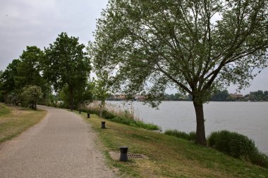 Bulutlu bir günde gölün kıyısındaki ağaçlarla çevrili bir yol.