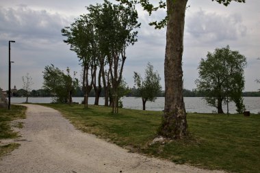 Bulutlu bir günde gölün kıyısındaki ağaçlarla çevrili bir yol.