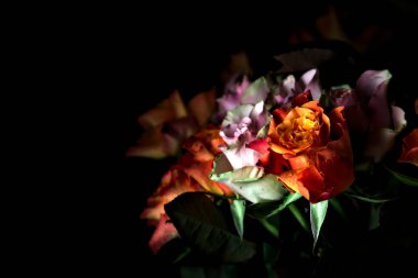 Açık turuncu ve pembe gül buketi siyah bir arka planda