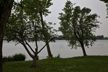 İtalya kırsalında bulutlu bir günde gölün kıyısındaki ağaçlar