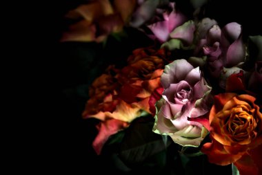 Açık turuncu ve pembe gül buketi siyah bir arka planda