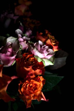 Açık turuncu ve pembe gül buketi siyah bir arka planda