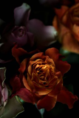 Açık turuncu ve pembe gül buketi siyah bir arka planda