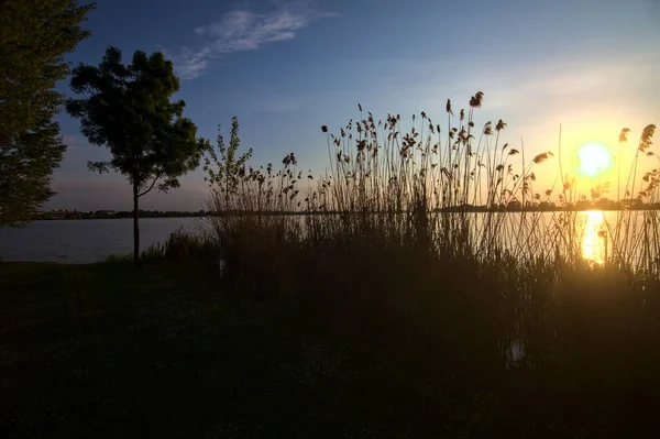 夕暮れ時の湖の海岸 — ストック写真