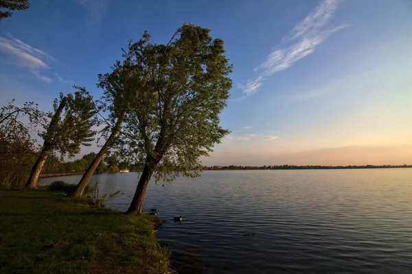 Gün batımında bir gölün kıyısında
