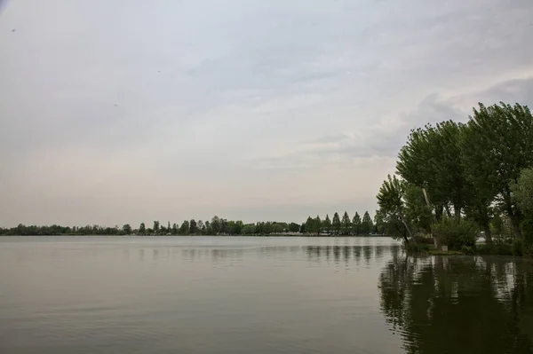 曇り空の日に水に投げられた木々の反射と湖の岸によってグローブ — ストック写真