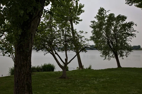 Drzewa Nad Brzegiem Jeziora Pochmurny Dzień Włoskiej Wsi — Zdjęcie stockowe