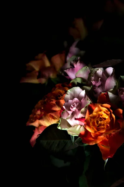 Buquê Rosas Laranja Rosa Abertas Pano Fundo Preto — Fotografia de Stock