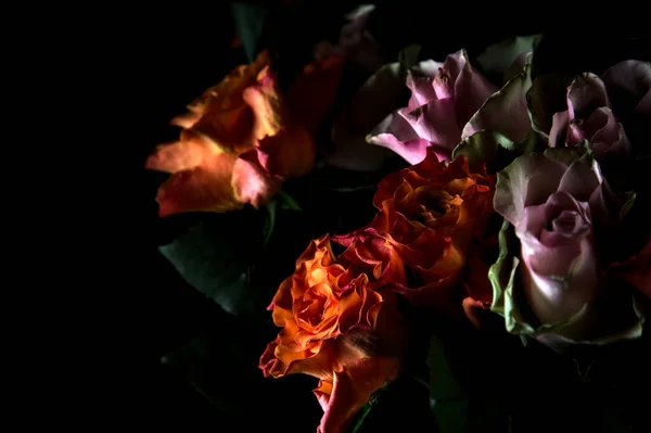 Buquê Rosas Laranja Rosa Abertas Pano Fundo Preto — Fotografia de Stock