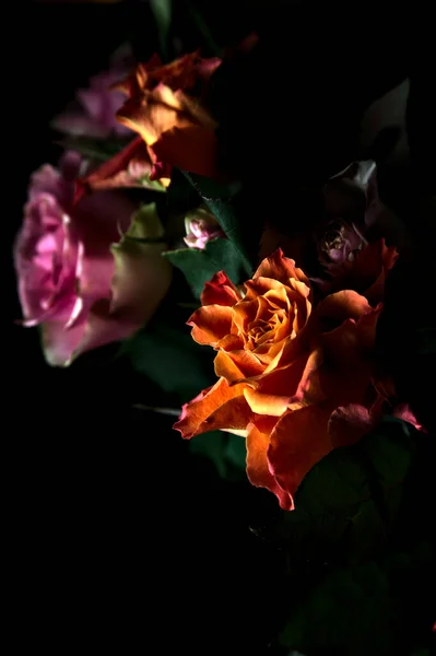 Ramo Rosas Naranjas Rosas Abiertas Sobre Fondo Negro —  Fotos de Stock