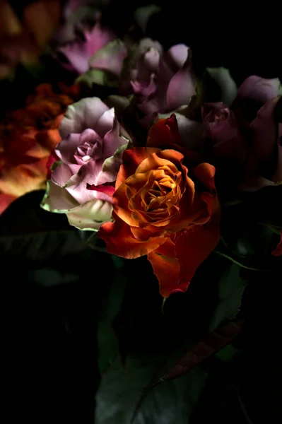 Bouquet Opened Orange Pink Roses Black Backdrop — Stock Photo, Image