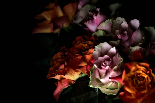 Buquê Rosas Laranja Rosa Abertas Pano Fundo Preto — Fotografia de Stock