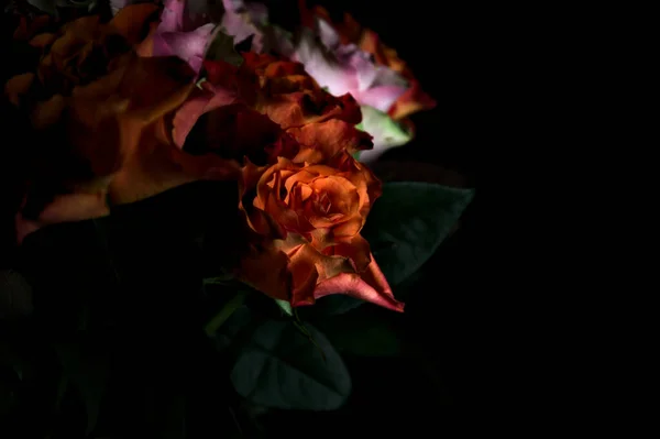 Buquê Rosas Laranja Rosa Abertas Pano Fundo Preto — Fotografia de Stock