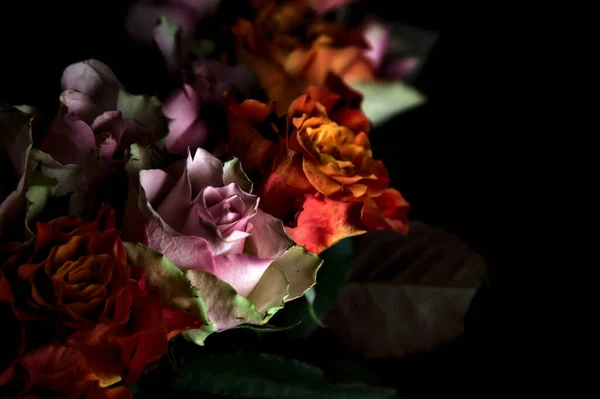 Buquê Rosas Laranja Rosa Abertas Pano Fundo Preto — Fotografia de Stock