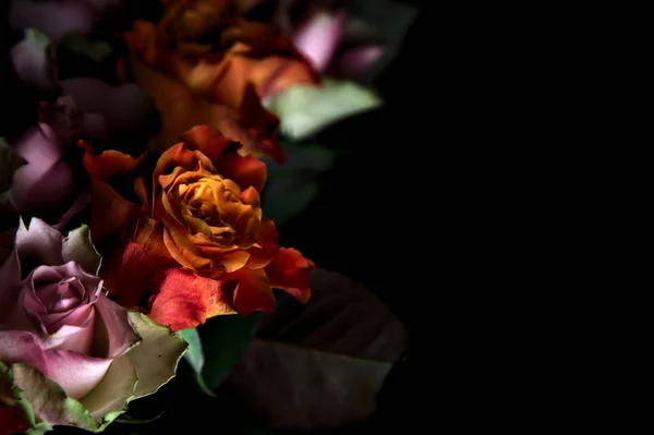 Strauß Geöffneter Orangefarbener Und Rosa Rosen Vor Schwarzem Hintergrund — Stockfoto