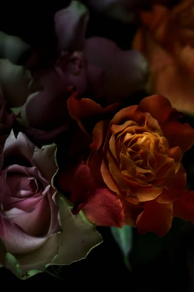 Ramo Rosas Naranjas Rosas Abiertas Sobre Fondo Negro — Foto de Stock