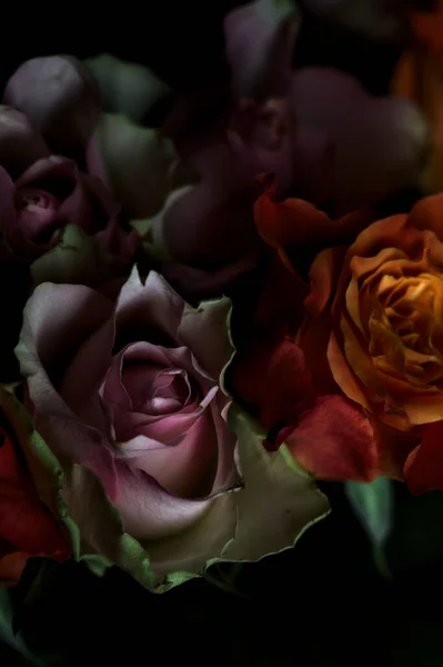 Buquê Rosas Laranja Rosa Abertas Pano Fundo Preto — Fotografia de Stock