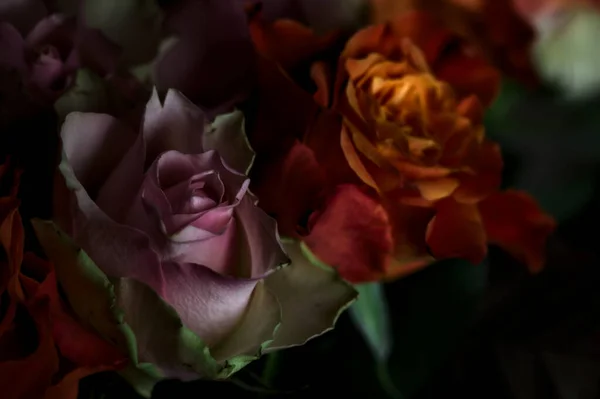 Buquê Rosas Laranja Rosa Abertas Pano Fundo Preto — Fotografia de Stock