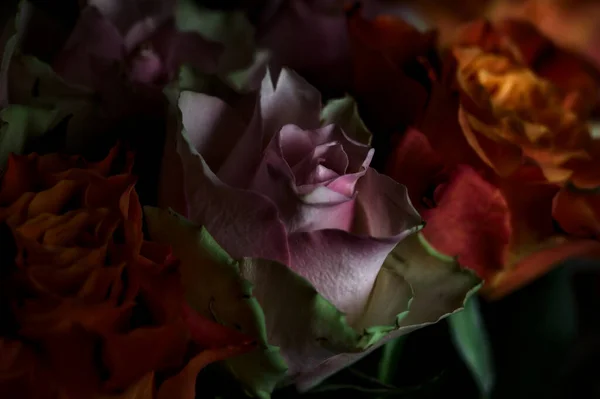 Ramo Rosas Naranjas Rosas Abiertas Sobre Fondo Negro —  Fotos de Stock