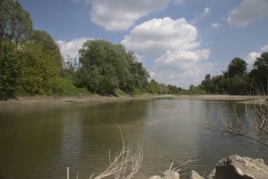 Almost dried inlet of a river in spring in the italian countryside